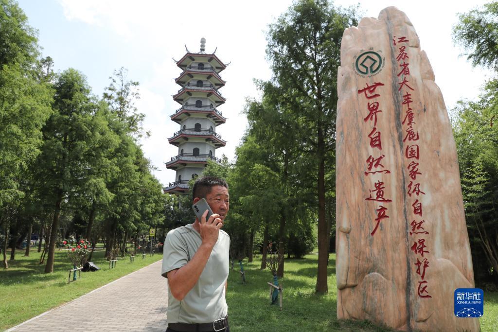 网上游戏打鱼